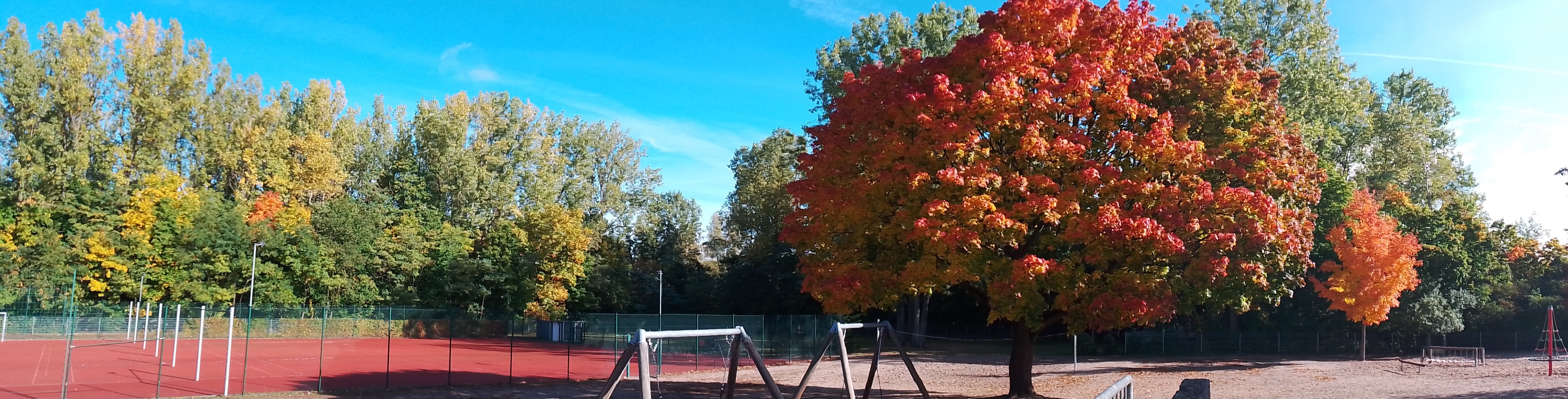Herbstbaum 2